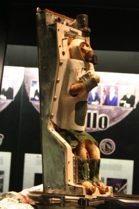 Able on display