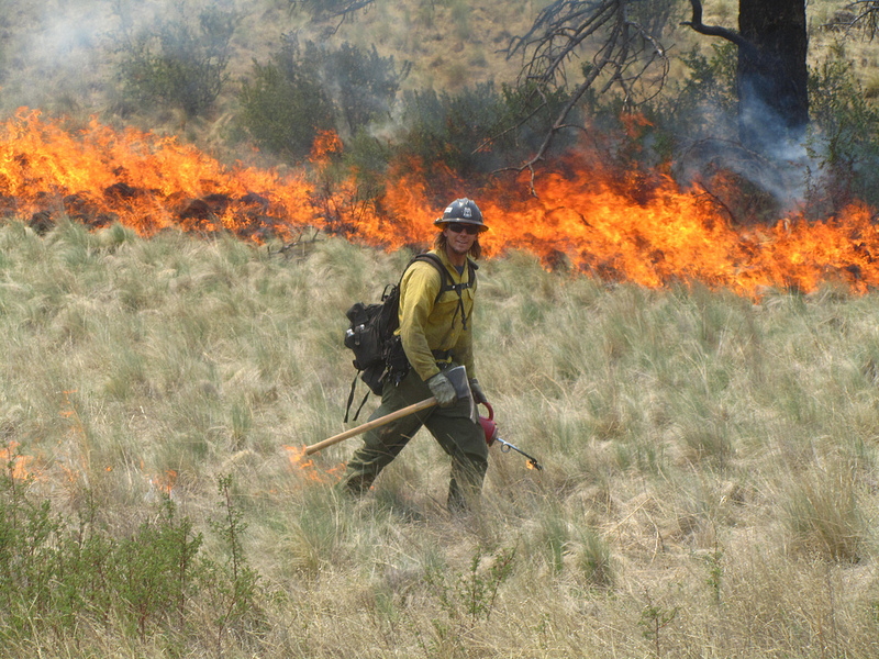 Fighting fire with fire. Photo: Alan Sinclair / US Forest Service, Gila National Forest