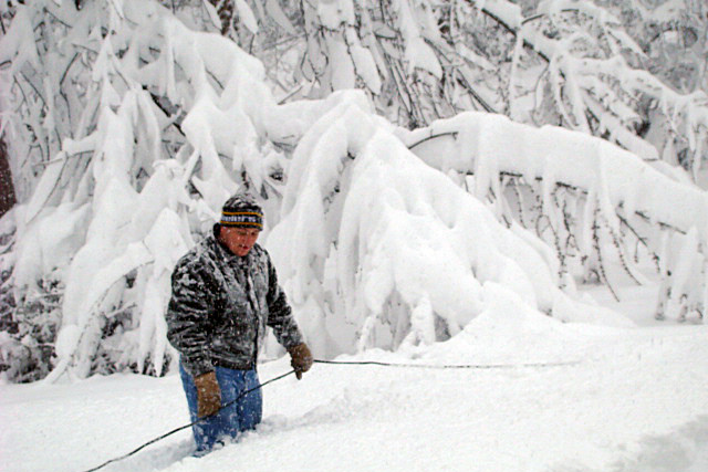 A downed telephone line